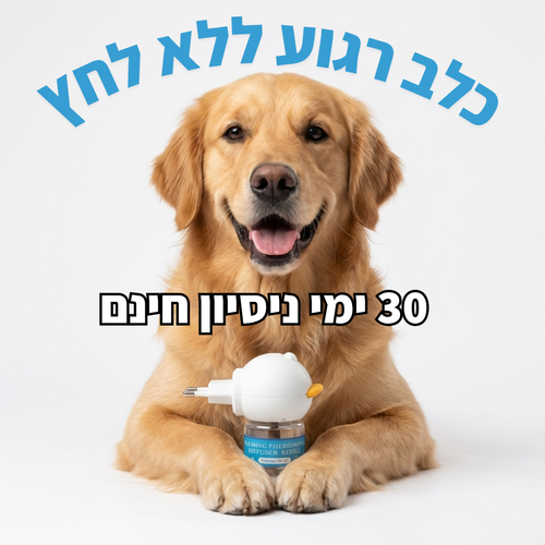 DogCalm – מפזר הרגעה לכלב | פתרון טבעי לחרדה