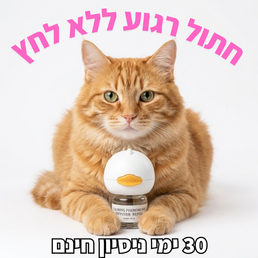 CatCalm – מפזר הרגעה לחתול | פתרון טבעי לחרדה